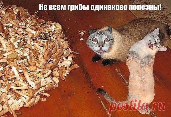 Загрузка файла