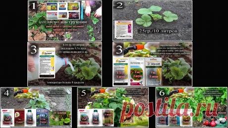 общая.jpg / Облако Mail.ru