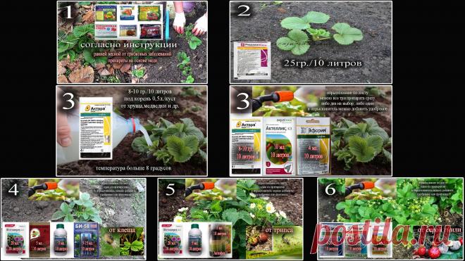 общая.jpg / Облако Mail.ru