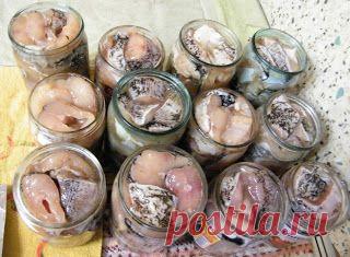 Пополняю закрома!