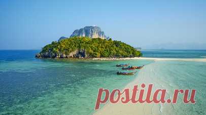 SHOT: российские туристы пострадали от неизвестного планктона на пляжах Таиланда. Telegram-канал SHOT утверждает, что несколько российских туристов, включая ребёнка, пострадали от неизвестного планктона на пляжах Таиланда. Читать далее