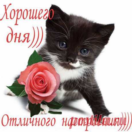 Новые фотографии