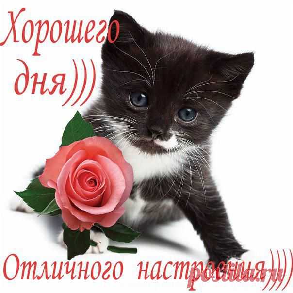 Новые фотографии