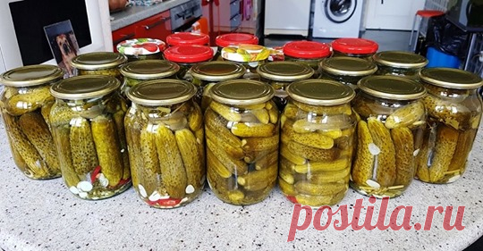 (17) Валентина Федоряка