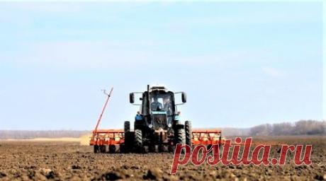 На Кубани стартовала посевная кампания яровых культур. Губернатор Краснодарского края Вениамин Кондратьев заявил, что в регионе стартовала посевная кампания яровых культур. Читать далее