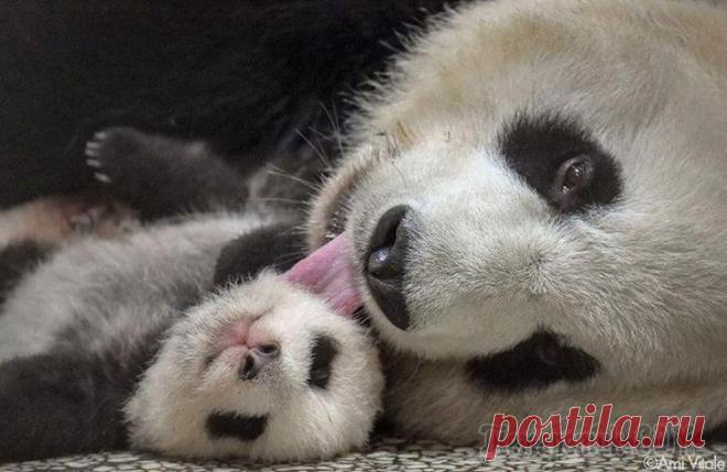 Фотографии о том, что без мам этот мир был бы не таким теплым