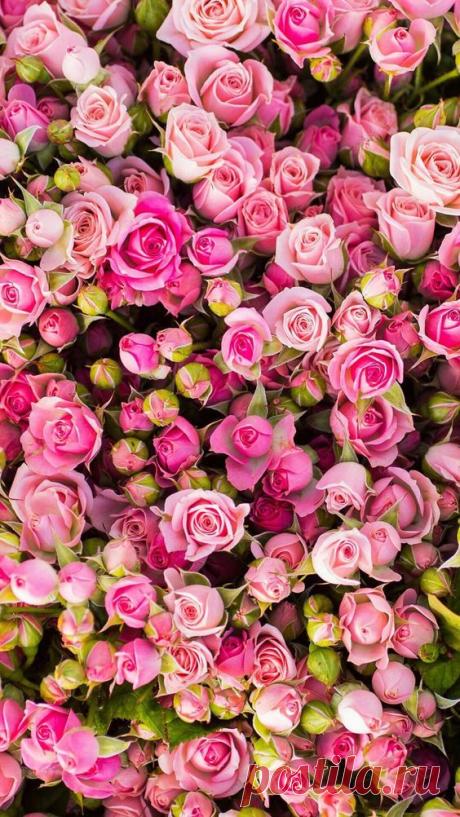 Pinterest
