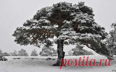5e4f48765e0494018b6a17055a267048.jpg (450×281)