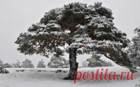 5e4f48765e0494018b6a17055a267048.jpg (450×281)
