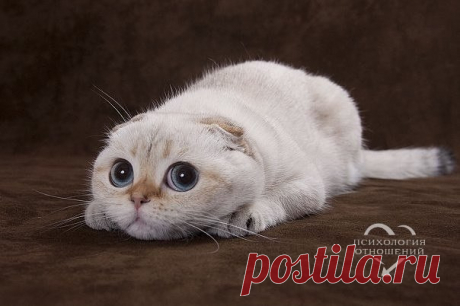 Так выглядит женщина, которая уже что-то придумала!