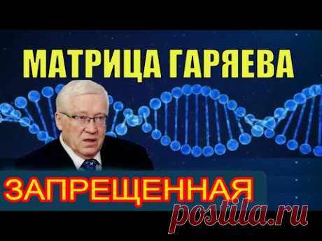 Запрещенные Матрицы П. П. Гаряева Что это Такое и как их делали?