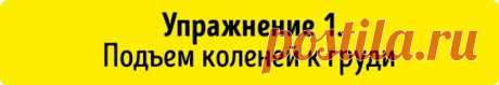 6 упражнений для плоского живота, которые можно делать прямо на стуле | Диеты со всего света