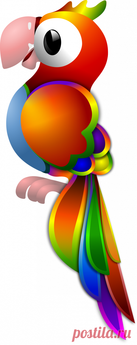 Clipart - Parrot Remix
