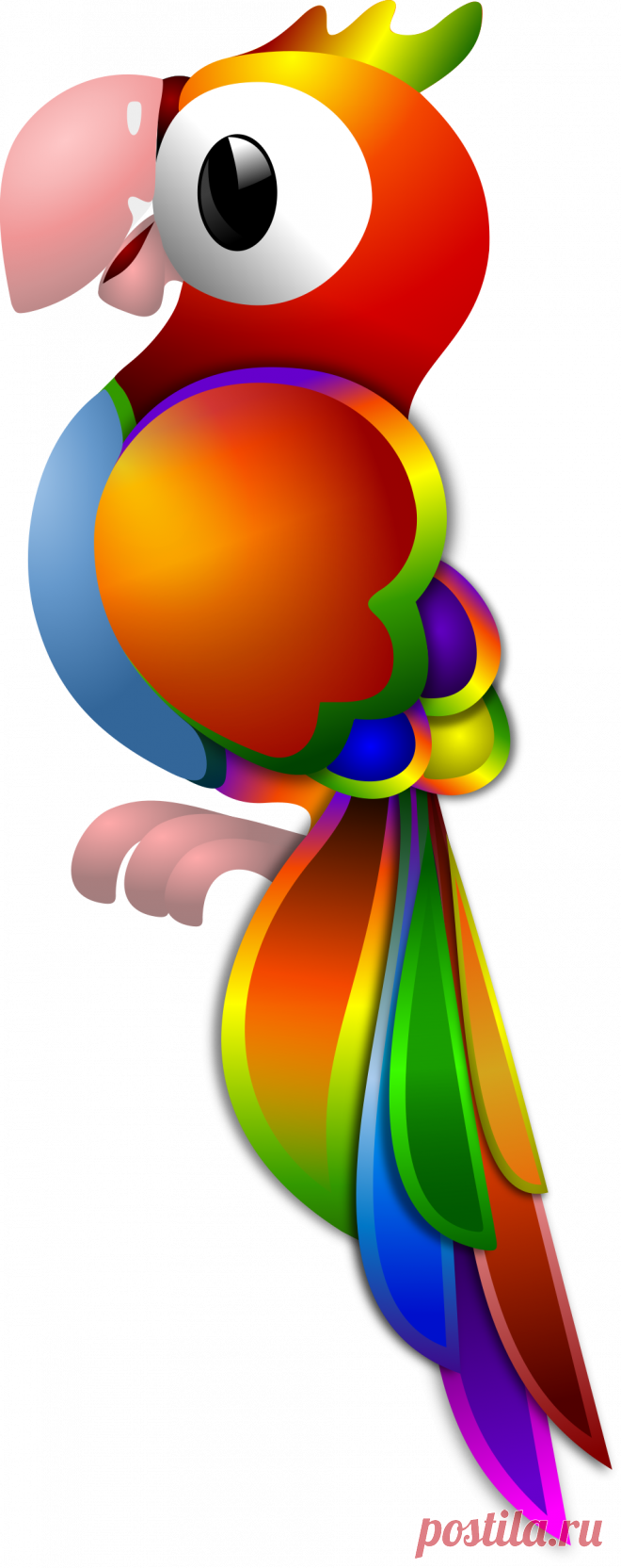 Clipart - Parrot Remix