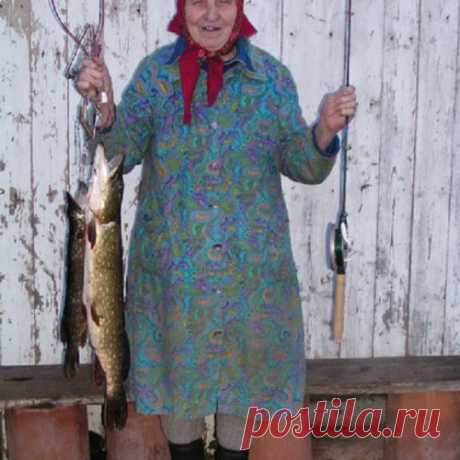 Бабушкин прикорм