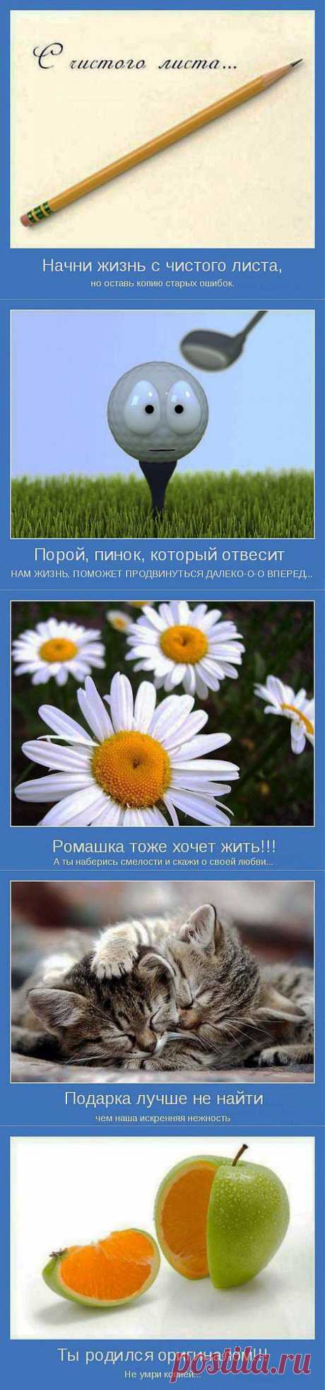 Подборка мотиваторов | ЖЕНСКИЙ МИР