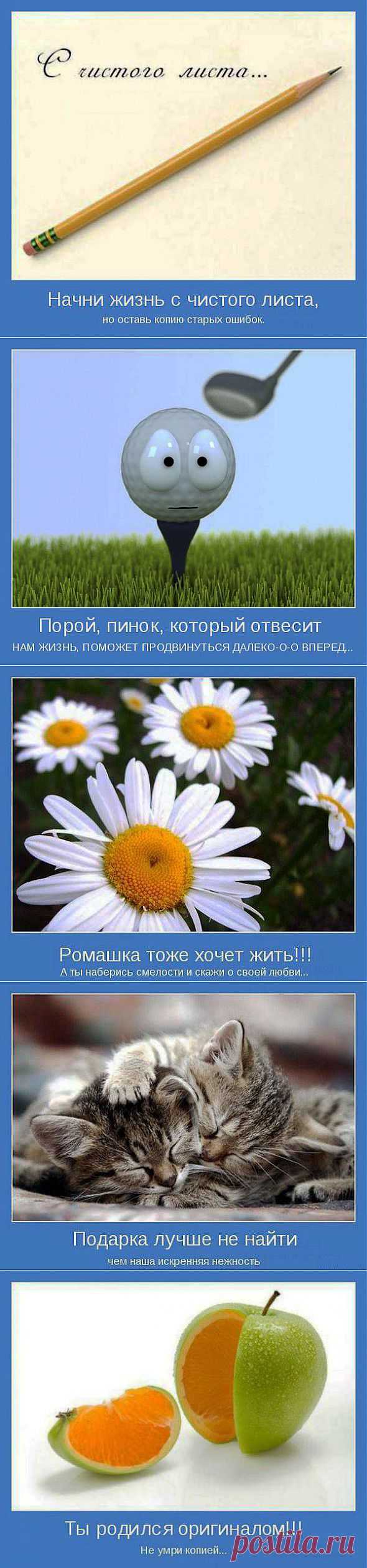 Подборка мотиваторов | ЖЕНСКИЙ МИР