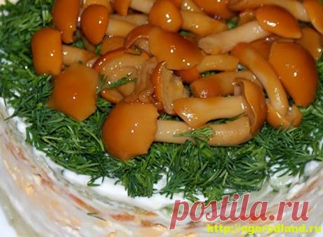 Слоеный салат с курицей и маринованными опятами