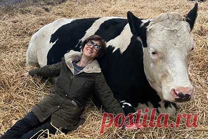 Необычный способ снятия стресса стал популярен в одной стране. В Великобритании люди начали обнимать коров, чтобы уменьшить тревогу и снять стресс. Стоимость одного сеанса с буренкой составляет более 5,5 тысячи рублей, в него входят три часа объятий и прогулка с телятами по ферме. По словам владелицы Фионы Уилсон, услуга стала популярной и свободного времени у коров не бывает.