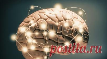 Невролог Чудинская рассказала об упражнениях для повышения внимательности. Врач-невролог АО «Медицина» (клиника академика Ройтберга) Галина Чудинская рассказала об упражнениях для повышения внимательности. Читать далее