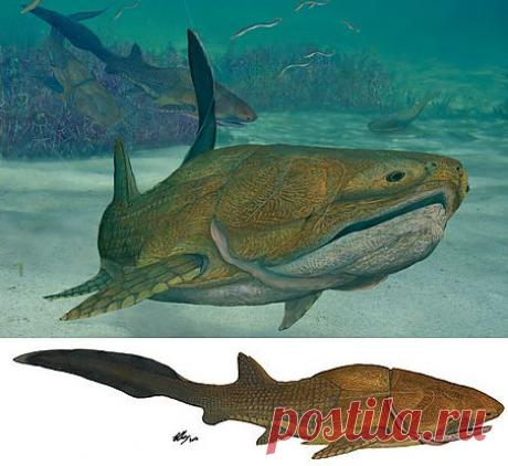 В Китае найдена рыба, миллионы лет назад давшая начало современным лицам и мордам - Газета.Ru | Наука