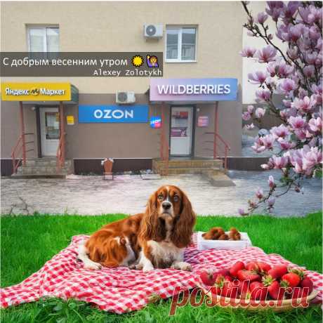С добрым весенним утром 🌞️🙋