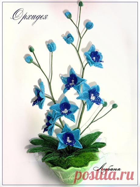 Орxидея | biser.info - всё о бисере и бисерном творчестве