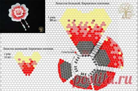 Ifotki.info - бесплатный хостинг фотографий для форумов, дневников, гостевых книг