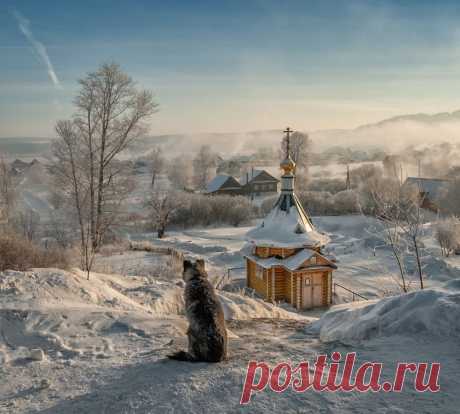25 самых впечатляющих фотографий 2015