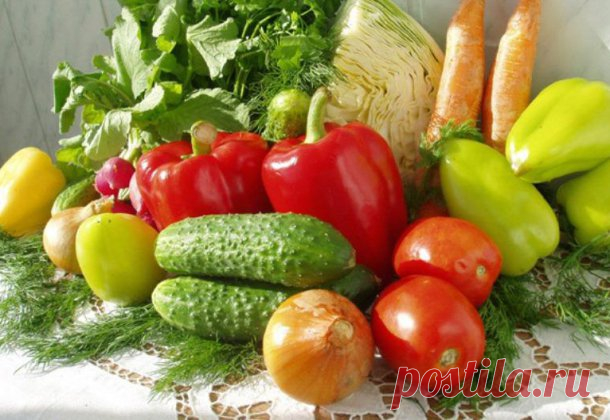 Немецкая диета 7 недель, отзывы, меню, результаты похудения