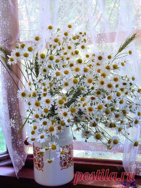 (19) Мой Мир@Mail.Ru
