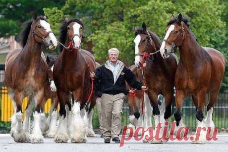 (93) Одноклассники