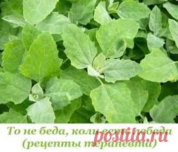 То не беда, коли есть лебеда