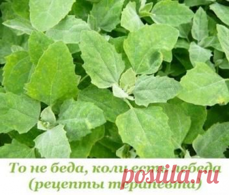 То не беда, коли есть лебеда