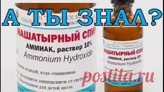 Нашатырь на даче и в быту