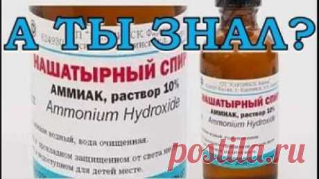 Нашатырь на даче и в быту