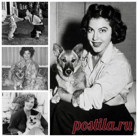 Собаки и знаменитости, часть 2 - Блог. Run - Группы Мой Мир