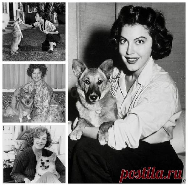 Собаки и знаменитости, часть 2 - Блог. Run - Группы Мой Мир