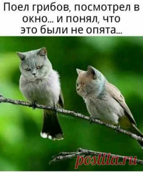 😱😁👍😆