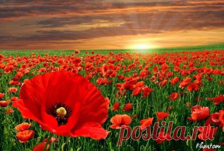 Мой Мир@Mail.Ru