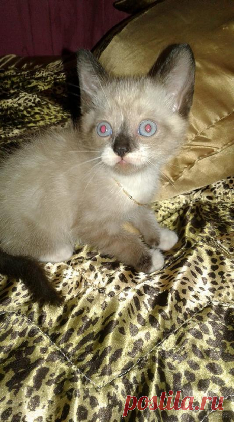 (3) Facebook