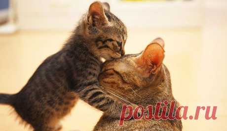 ♥ღ♥Интересные сказки-притчи♥ღ♥