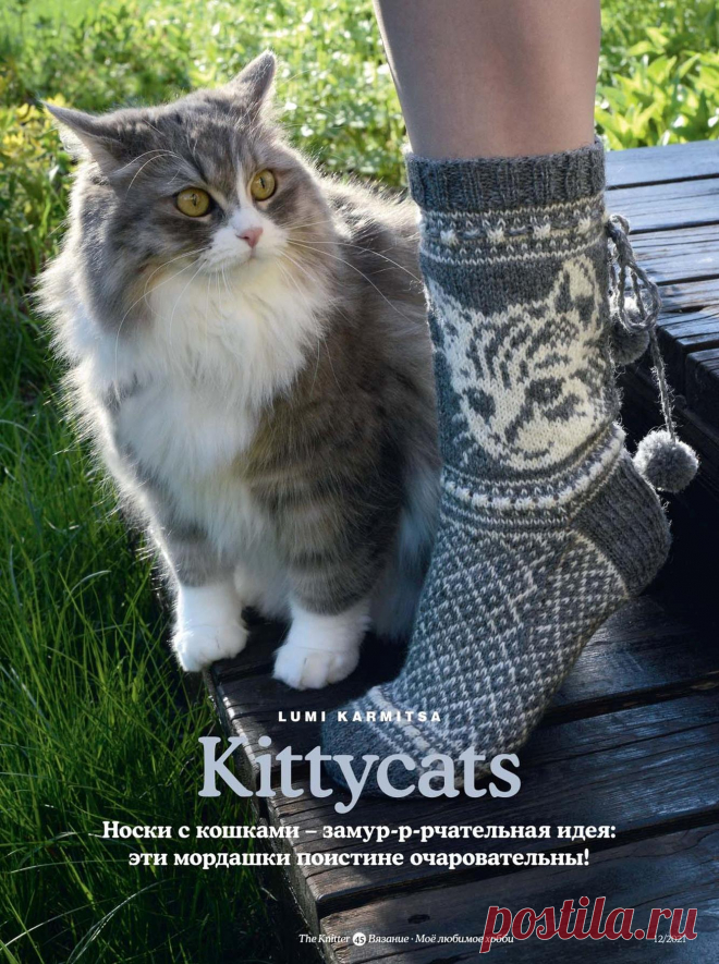 Носки Kittycats