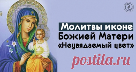 Молитвы иконе Божией Матери «Неувядаемый цвет» — Копилочка полезных советов
