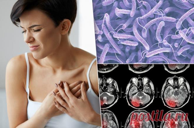 Болезни, которые убивают за сутки В мире действительно существуют заболевания, от которых можно скончаться за сутки, а то и за несколько часов. К счастью, их не так уж много и большую часть из них можно избежать.


 

Вирус Эбола

Уже…