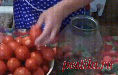 Помидоры в собственном соку! Рецепт на все времена!
Делюсь рецептом, который передала мне бабушка через поколение! Легкое приготовление, а вкус просто божественный! Вся семья постоянно просит приготовить такие, а друзья просят рецепт! 
Очень простой и практичный рецепт, в котором найдется применение и крупным, и мягким, и немного придавленным помидоркам. 
Что понадобится для приготовления 
Крупные, спелые помидоры для сока 
Мелкие помидоры 
Соль и сахар 
Душистый перец-горошек 
Лавровый лист 
Гв