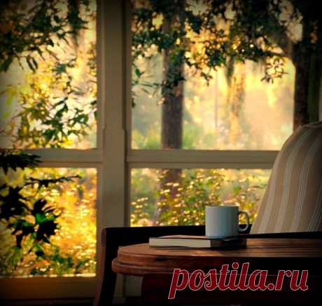 В доме должен быть кот. 
В доме должен быть плед. 
Древний бабушкин кустик алоэ. 
И за плинтусом – вот! – 
старый детский секрет. 
И журналов стопа – про былое… 
В доме должен быть шкаф, 
пусть скрипуч, неказист, - 
в его недрах, согретых годами, 
связку писем сыскав, 
развернешь хрупкий лист, 
мелко-мелко исписанный мамой… 
В доме должен быть свет 
от ночного окна, 
запах кофе и яблок с корицей… 
И воскресный обед. 
И для книг тишина. 
И тогда ничего не случится…

©Марина Семченко