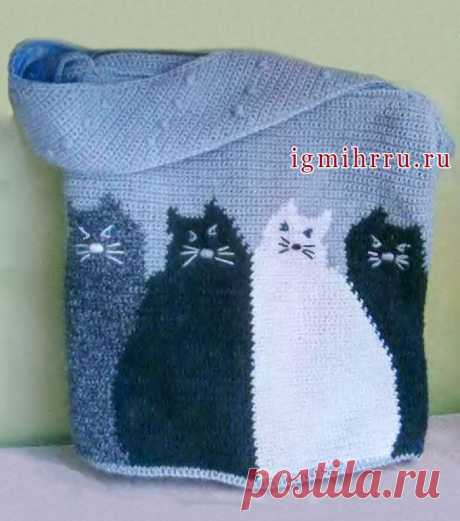 СУМКА «ВАЖНЫЕ КОТЫ»