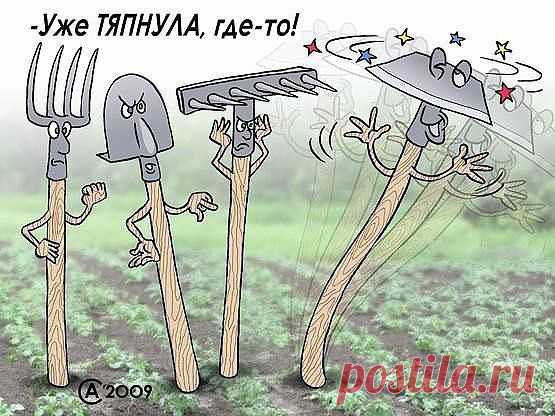 Одноклассники