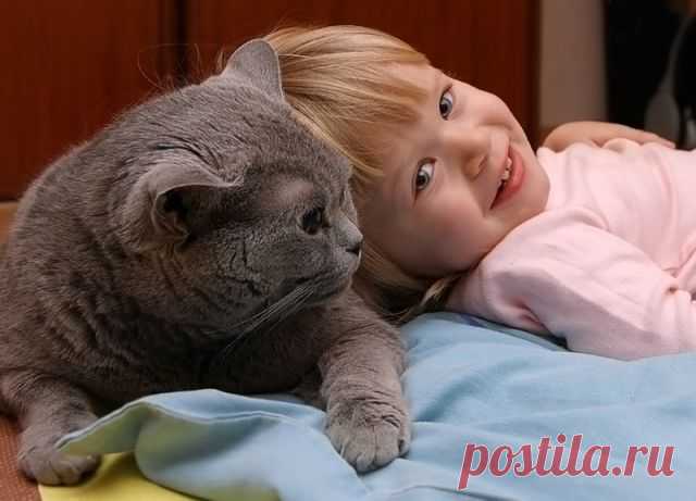 Человеческие обычаи, которые не любят кошки.